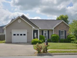 51 Sunberry Trl, Fletcher, NC 28732-6534