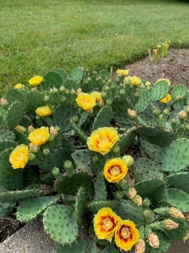 7205 Mcclure Ave, Pittsburgh PA  15218-2307 exterior