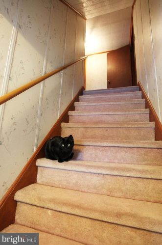 11208 Raystown Rd, Huntingdon PA 16652-7434 exterior