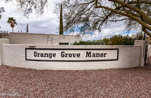 6303 Orange Tree Dr, Tucson, AZ 85704-3953