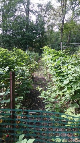 1377 County Road E, Saint Paul MN  55110-5231 exterior