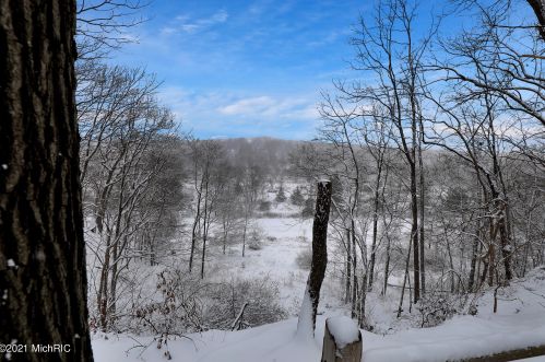 901 Marshall St, Portland MI 48875-1372 exterior