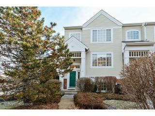 3389 Ravinia Cir, Aurora IL  60504-3144 exterior