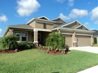 11838 Newberry Grove Loop, Riverview, FL 33579-3905