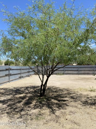 209 Lester St, Tucson AZ 85705-6551 exterior