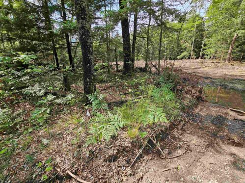 67 Curtisville Rd, Concord, NH 03301