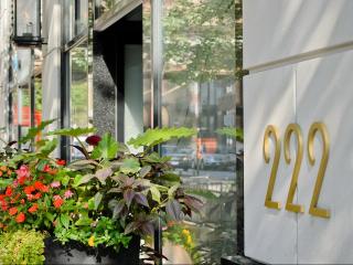 222 Erie St, Chicago IL  60654-4833 exterior