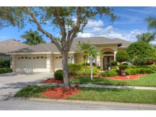 10316 Millport Dr, Tampa FL  33626-1706 exterior