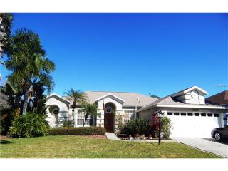 12428 Bristol Commons Cir, Tampa FL  33626-2409 exterior