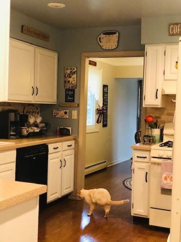 23494 Meceola Rd, Reed City MI 49677-9007 exterior