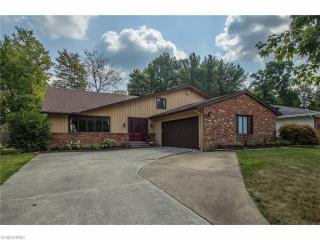 17028 Lanier Ave, Cleveland OH  44136-6439 exterior