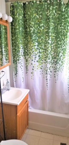 934 Juno Ave, Saint Paul MN 55102-3713 exterior