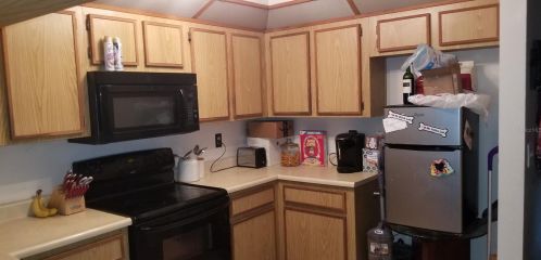 11728 Lynmoor Dr, Riverview FL 33579-0070 exterior