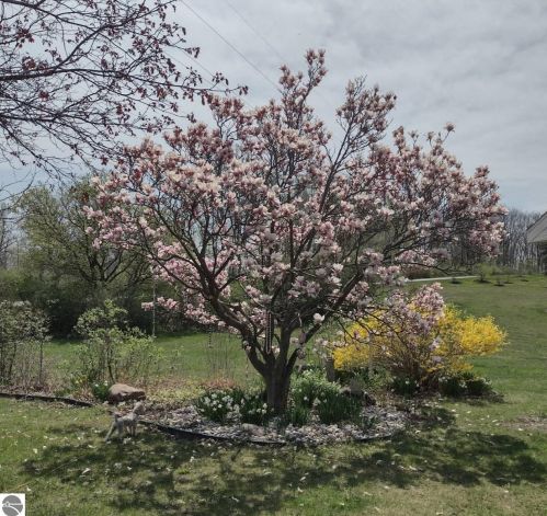 740 Witbeck Dr, Clare MI 48617-9721 exterior