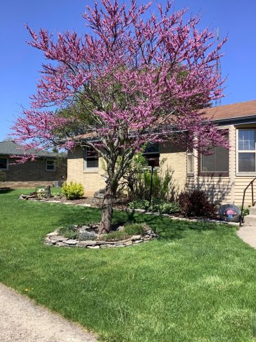 3241 97th St, Sturtevant, WI 53177-2629