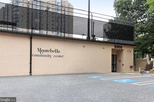 5902 Mount Eagle Dr, Alexandria VA 22303-2513 exterior