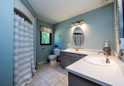 10867 Ridgewood Trl, Berrien Springs MI 49103-9724 exterior