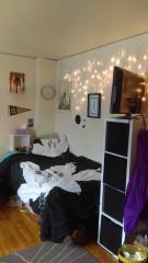 408 Jefferson St, Ann Arbor MI  48104-2311 exterior