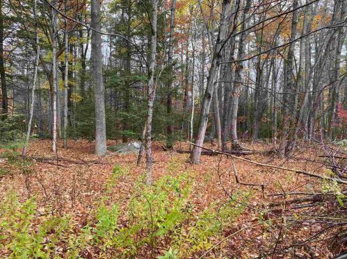 112 Old Concord Tpke, Barrington, NH 03825-5152