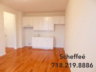 164 Fenimore St, Brooklyn NY  11225-5309 exterior