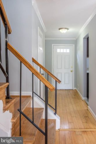 7467 Duddington Dr, Alexandria VA 22315-3849 exterior