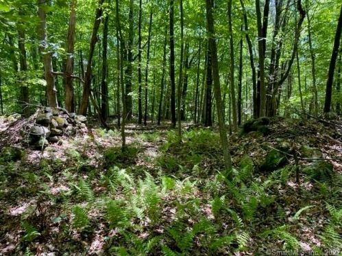 244 St, Roxbury CT 06783-1014 exterior