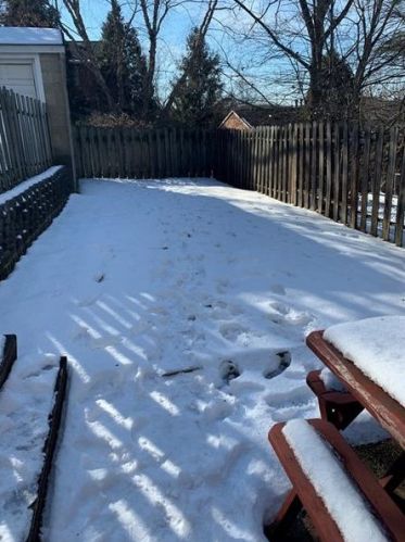 3106 Avalon St, Pittsburgh PA 15219-5721 exterior