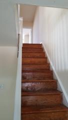 1513 Napa St, Philadelphia PA  19146-3419 exterior