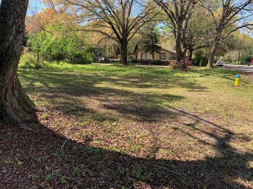 3204 Orient Rd, Tampa FL 33610-4123 exterior