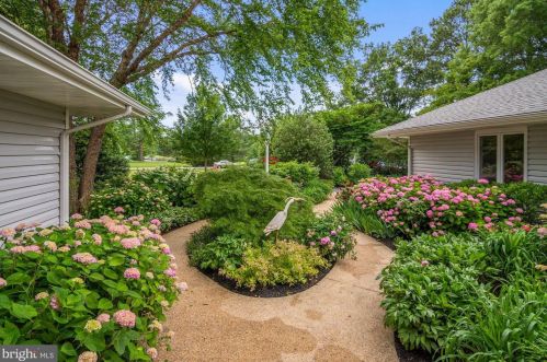 24842 Deepwater Point Dr, Saint Michaels MD 21663-2319 exterior