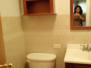 5847 Spaulding Ave, Chicago IL  60629-3207 exterior