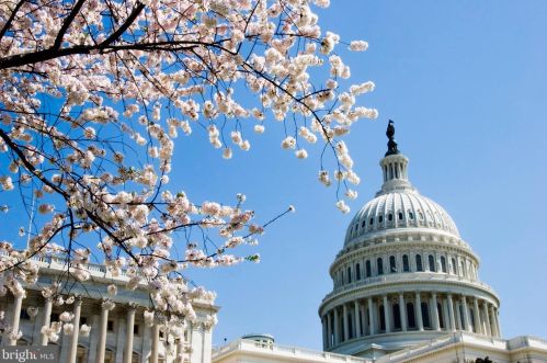 623 6 St, Washington DC 20024-2693 exterior