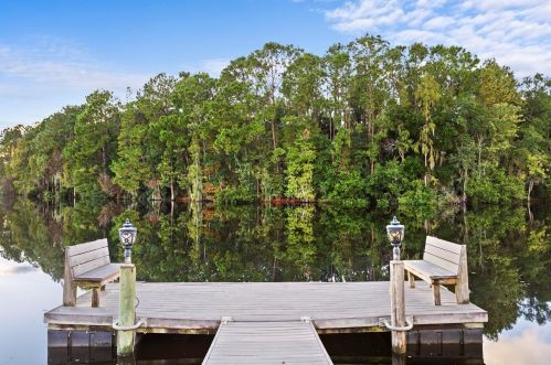 17916 Cachet Isle Dr, Tampa FL  33647-2702 exterior