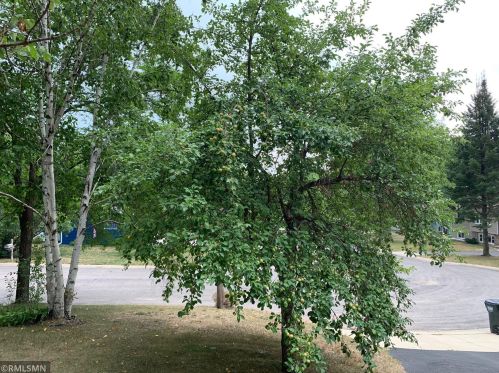 801 4 Ave, Sartell MN 56377-1445 exterior