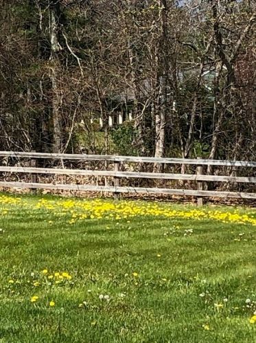 16 Pierce Rd, Sutton MA 01590-2909 exterior