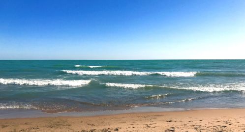 1362 Greenleaf Ave, Chicago IL 60626-5808 exterior