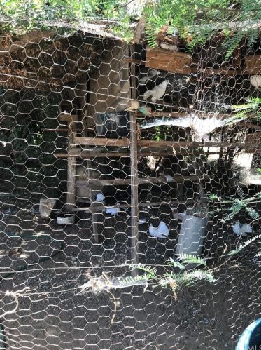 27260 Jarvis St, Perris CA 92570-8677 exterior