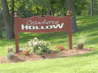 7 Cranberry Holw, Enfield, CT 06082-2200