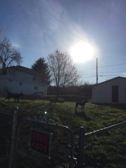 1127 Stafford Ave, Scranton PA  18505-2420 exterior