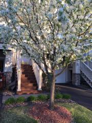 2195 Eagle Trace Ln, Saint Paul, MN 55129-4287