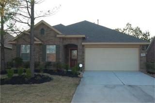 19 Tallgrass Way, Spring TX  77389-4967 exterior