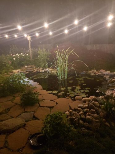 919 Leonard St, Grand Rapids MI 49504-4153 exterior