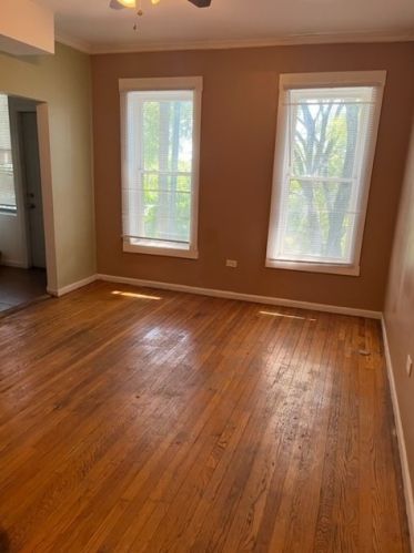 1507 69 Pl, Chicago IL 60637-4159 exterior