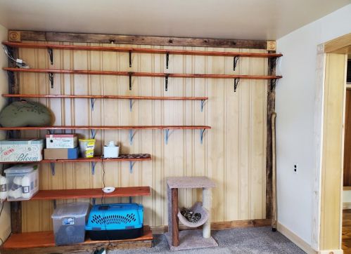 513 Decalb St, Reed City MI 49677-1347 exterior