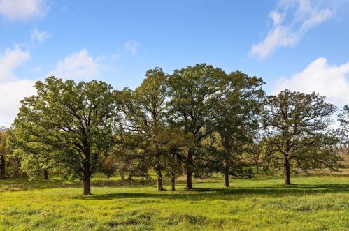 1488 Copeland Rd, Maple Plain MN 55359-9537 exterior