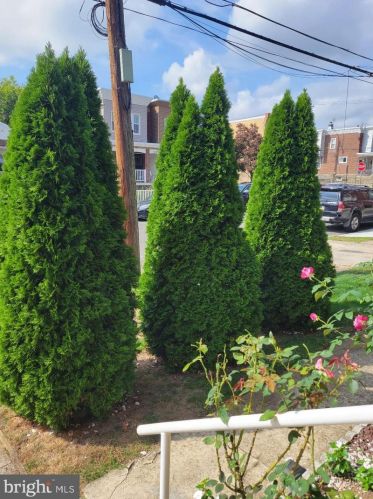 531 Benner St, Philadelphia PA 19149-3214 exterior