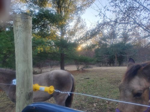 14735 190th Ave, Big Rapids MI  49307-9041 exterior