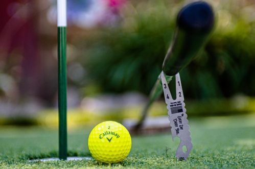 100 Cyn Rim Dr, Folsom CA 95630-2034 exterior