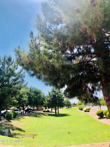 6008 16 Dr, Phoenix AZ 85015-1423 exterior