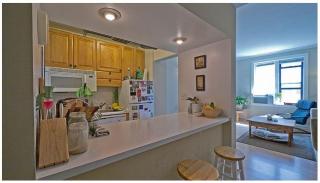 1036 Dearborn St, Chicago IL  60610-3127 exterior